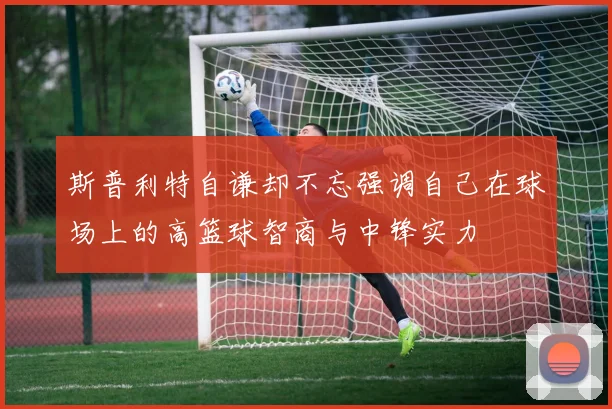 斯普利特自谦却不忘强调自己在球场上的高篮球智商与中锋实力